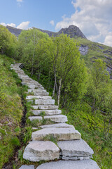 Fototapeta na wymiar The Reinebringen trail in Lofoten, Norway, presents a stairway of natural stone steps ascending through a lush birch grove, against a backdrop of rugged mountain peaks (vertical photo)