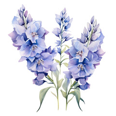 Light Blue With Purple Delphinium Flower Botanical Watercolor Painting Illustration