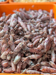 salted squid in the basin