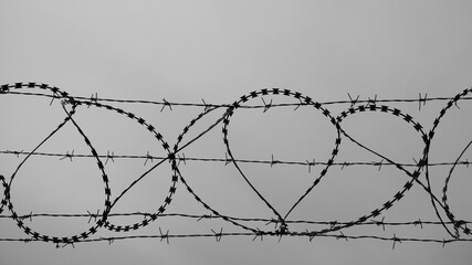 barbed wire against a gray sky close-up