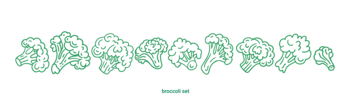 Broccoli cabbage doodle set. Broccoli simple outline icon vector illustration. Green broccoli vegetables.