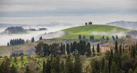 fog in the mountains of Tuscany - 695999844