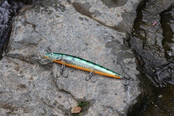 fishing lure on the rock in the garden, closeup of photo