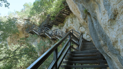 Amidst the lush greenery and towering trees, a rugged wooden staircase leads to a hidden cave...