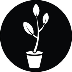 Plant, seed, tree icon