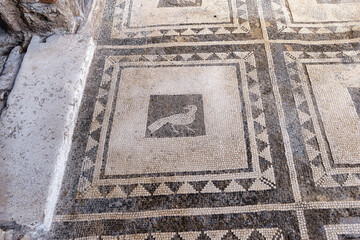 Pompeii Naples Italy, along with Herculaneum and many villas in the surrounding area (e.g. at...
