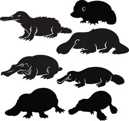 Platypus silhouette, white background, vector look
