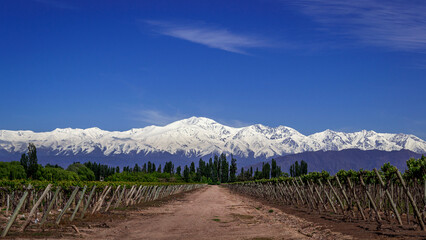 
We see the beautiful Andes mountain range in the background, completely snow-covered and imposing,...