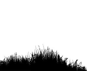 Calm autumn field. Vector drawing