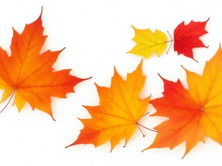 Fototapeta premium Autumn maple leaves isolated on white background. 3D illustration.