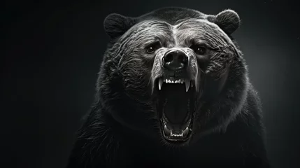 Foto op Plexiglas Close-up of an angry bear's face. A toothy grizzly in monochrome style. Animal in the habitat. Illustration for cover, card, postcard, interior design, banner, poster, brochure or presentation. © Login