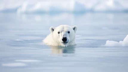 Fotobehang The arctic sea is home to a wild polar bear on pack ice. © Tahir