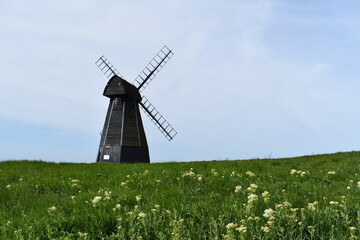 windmill in the field