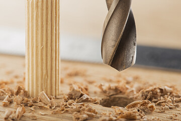 drill bit makes hole in wooden oak board for wooden dowel.