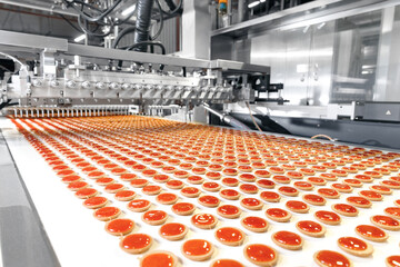 Food industry, biscuit production in factory on conveyor belt. Modern line for bakery cookies