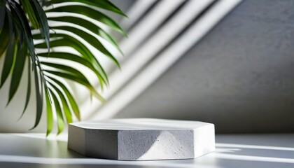 Minimal white marble platform for presentation product with plant and rock stone background	
