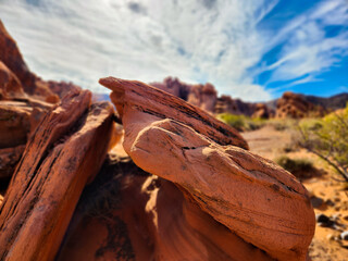 Desert sandstone