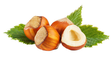 Hazelnuts with leaves cut out 