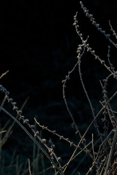 barbed wire on a grass