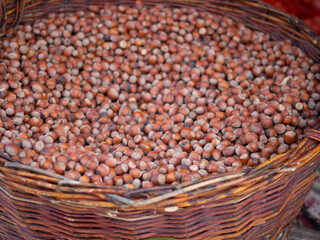 huge wicker basket with hazelnuts. harvest concept. hazelnuts, close-up.