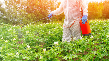 Industrial Agriculture. Man spraying toxic pesticides or insecticides on plantations. Weed control.