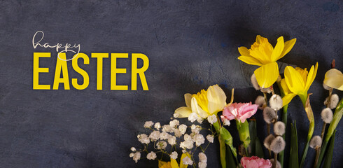 Daffodils and willow on dark cement background with Happy Easter text. Spring Easter background top...