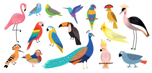 Estores personalizados com sua foto Decorative tropical birds. Exotic bright parakeets, colorful feathered creatures, pink flamingo, peacock, hummingbird and toucan, vector set.eps