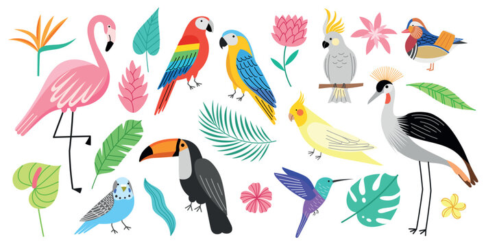 Exotic birds and tropical plants. Bright decorative plumage creatures, beautiful parrots and flamingo, monstera and palm leaves, vector set.eps