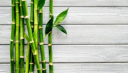 green bamboo stems on white wooden background top view space for text