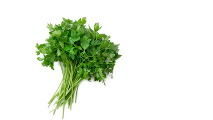 Bunch of fresh parsley on white background