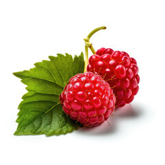 Raspberry isolated on white background. Generative AI