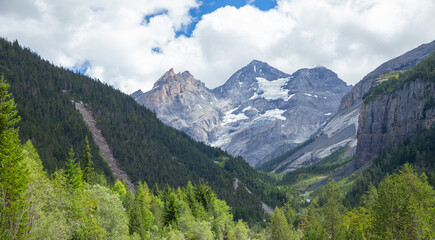 Obraz premium Alps rock mountain with forest, Kandersteg, Switzerland, summer