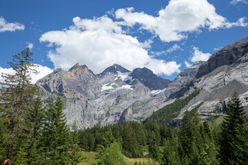 Fototapeta na wymiar Alps mountain peak with glacier with pine tree in Kandersteg, Switzerland