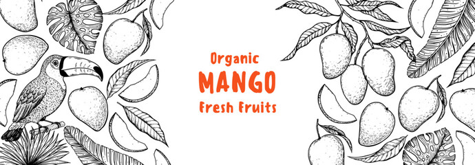 Ripe mango and toucan bird sketch. Hand drawn vector illustration. Tropical fruit. Packaging design, menu design, juice packaging. Mango frame. © DiViArts