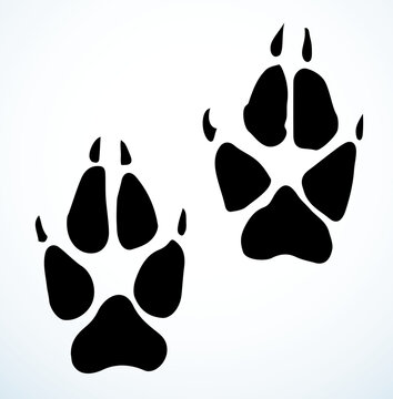 Dog foot print. Vector drawing