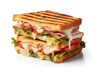 Delicious panini sandwich with ham and cheese on white background 