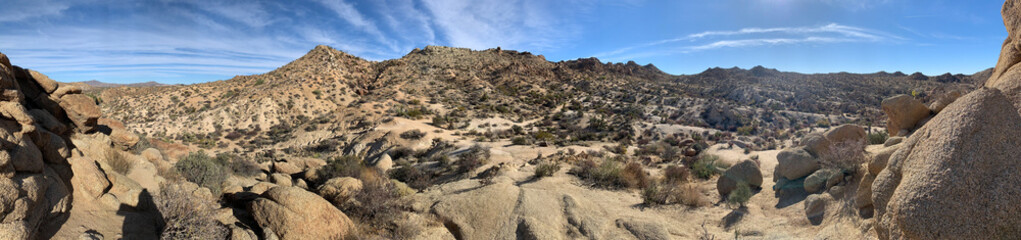 Panoramic Detail of the Cottonwood Springs Trail in the Joshua Tree National Park of California - obrazy, fototapety, plakaty
