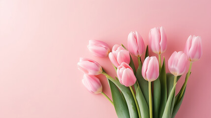 Naklejka premium Beautiful pink tulips on pink background