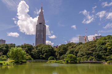 Ninomaru Garden in Tokyo Japan during summer day with no people.