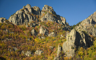 Cozia Mountains during autumn. From the wild beech forests, numerous pointed cliffs are rising to...