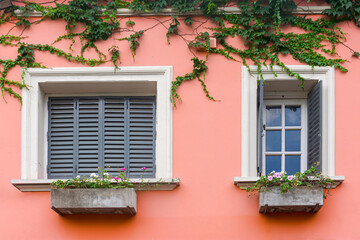 Beautiful gray windows with flowers on a pink wall. 