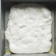 Focaccia dough in a square baking tin, process of making focaccia, dough rising in a baking pan