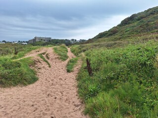 Fototapeta na wymiar path from the beach