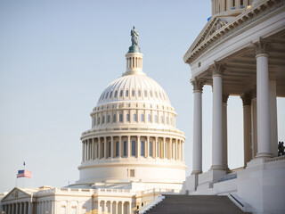 Fototapeta premium Capitol Majesty: Editorial Perspectives on the Iconic US Capitol Building in Washington, DC