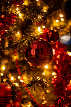 christmas tree with lights