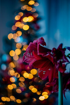 christmas tree decorations