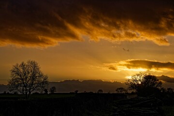 Obraz premium December Sunset
