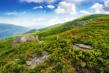 mountain landscape with stones and boulders on the hillside. nature scenery of carpathian highlands. grassy meadows on a sunny day. blue sky with fluffy clouds