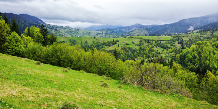 rural landscape with grassy meadows and pastures. mountainous countryside scenery in spring. overcast weather