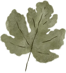 Fig leaf oil illustration - 696097085